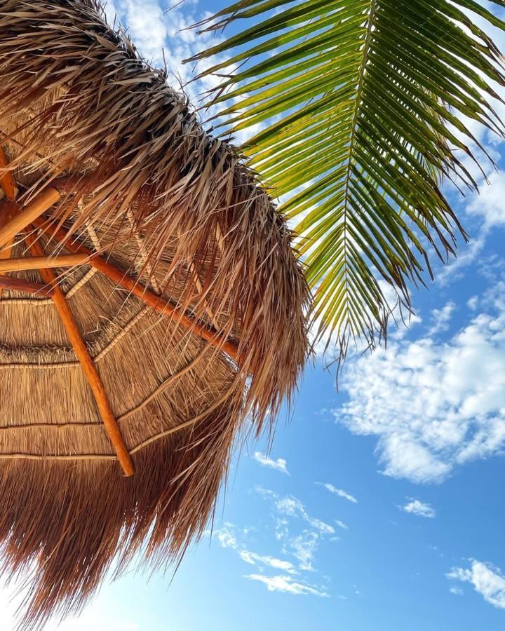 La Puerta Azul Beachfront - Adults Only Isla Holbox Buitenkant foto